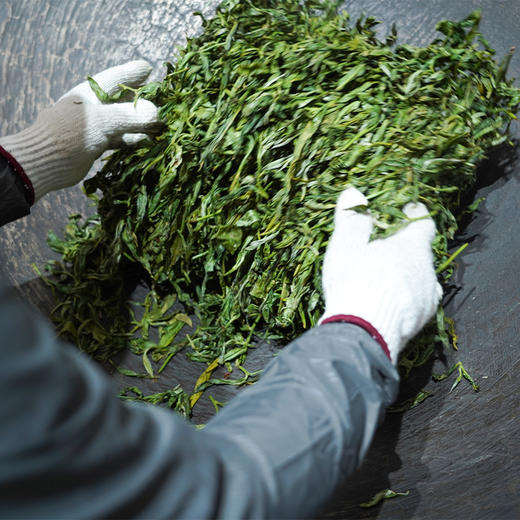 【老班章单株】2024年云南勐海茶王地古树单株普洱茶生茶 会员VIP6以上专属福利 仅限两箱 商品图7