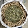 灵香草 商品缩略图4