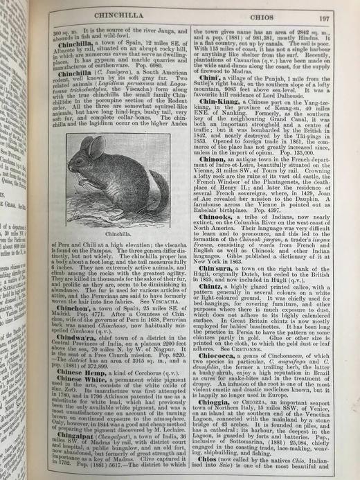 含中国内容！1889年 钱伯斯百科全书（卷3） 数百幅插图 真皮精装16开 商品图7