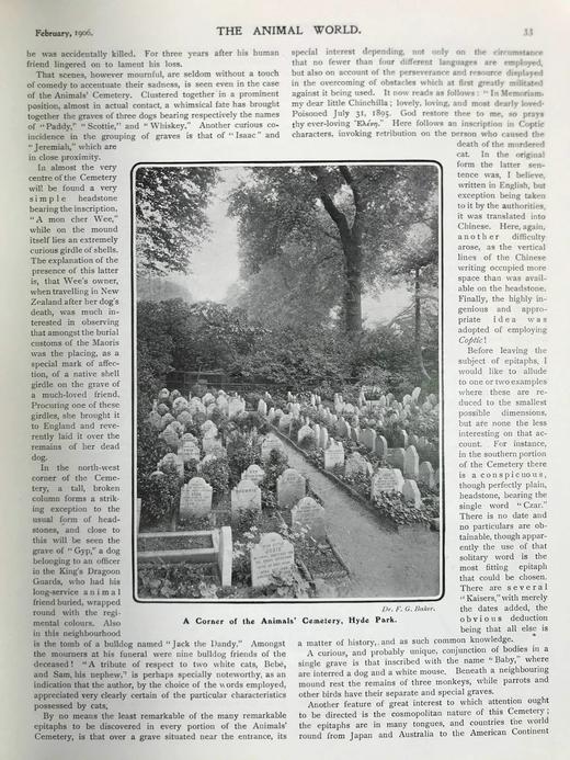 1906年 动物世界杂志 数百幅插图 漆布精装16开 商品图14