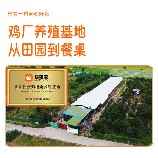 【60枚】快买客 乡村振兴无抗生素鸡蛋 商品图5
