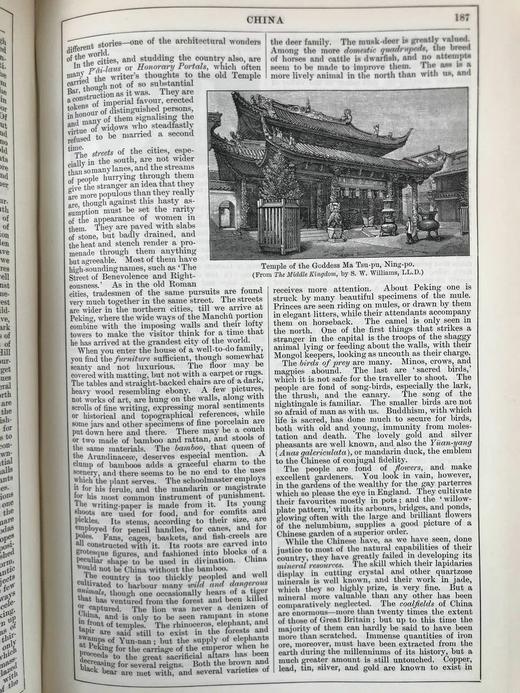 含中国内容！1889年 钱伯斯百科全书（卷3） 数百幅插图 真皮精装16开 商品图4