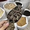 天葵子  紫背天葵 商品缩略图1
