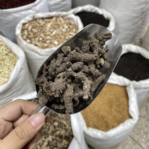 天葵子  紫背天葵 商品图1