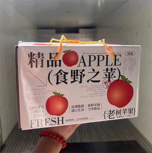 高山老树红富士苹果 | 水果 商品图3
