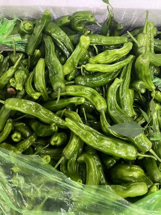 연변매운고추/연변꽈리고추  延边特辣/微辣 辣椒500g 商品图1