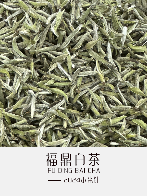2024小米针（散茶）