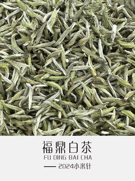 2024小米针（散茶）