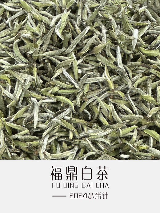 2024小米针（散茶） 商品图0