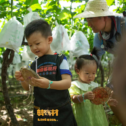 亲子采摘套餐 商品图0
