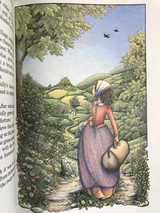 尤安·艾肯《最后一片彩虹与其他故事》 配大量精美插图（含多幅彩色） 精装16开 商品图10