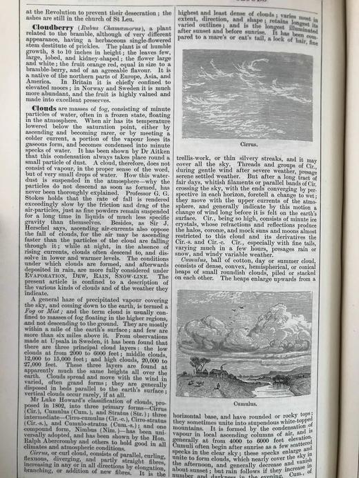 含中国内容！1889年 钱伯斯百科全书（卷3） 数百幅插图 真皮精装16开 商品图11