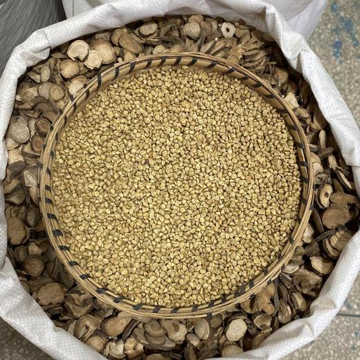 白牵牛 白丑 商品图2