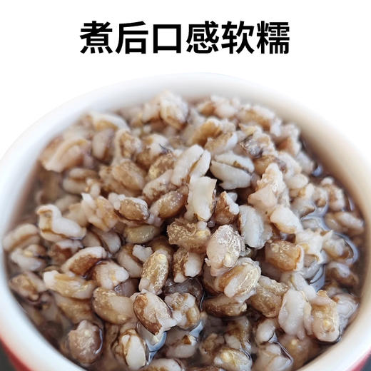 袋鼠小布高原精选青稞米主食粗粮糙米450g/袋 商品图1