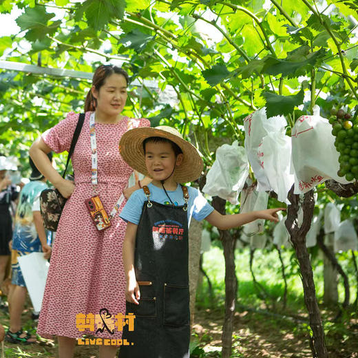 双人采摘 商品图0
