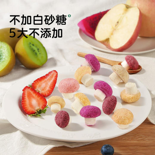 【宝宝馋了】水果多多酸奶魔力菇  9种水果营养  商品图4