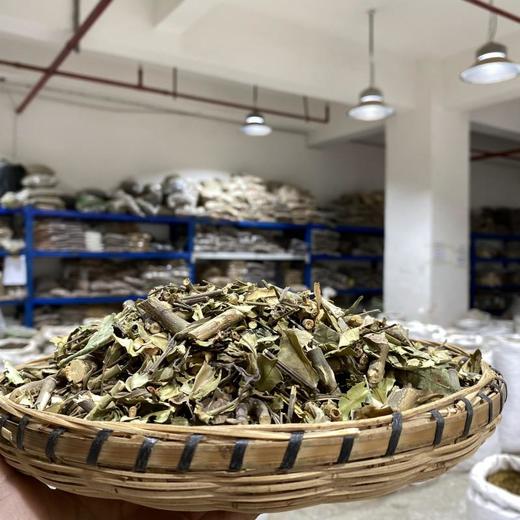 小驳骨 商品图1