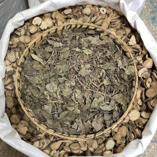 矮地茶  平地木  平地母 商品图2