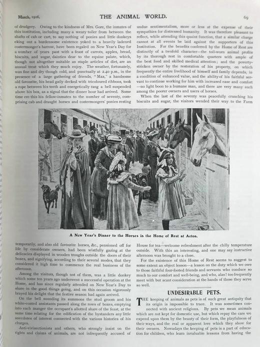 1906年 动物世界杂志 数百幅插图 漆布精装16开 商品图9