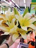 特价秒杀百合花束（拼团） 商品缩略图0