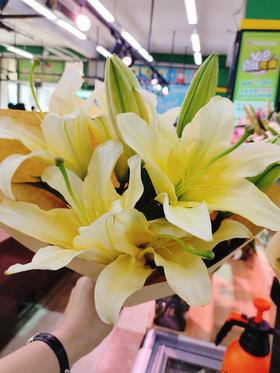 特价秒杀百合花束（拼团）