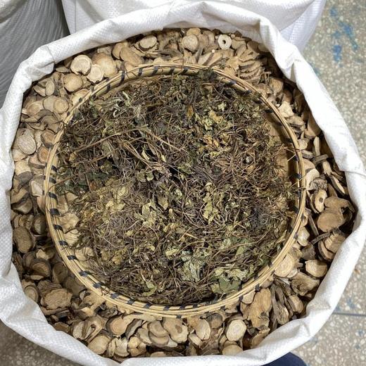 肺心草 商品图2