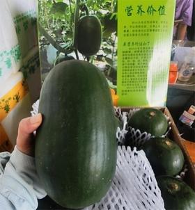 山泉水迷你小冬瓜 | 蔬果