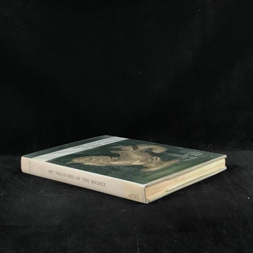 美第奇艺术瑰宝 55幅彩色插图8幅黑白插图 精装大16开 商品图1