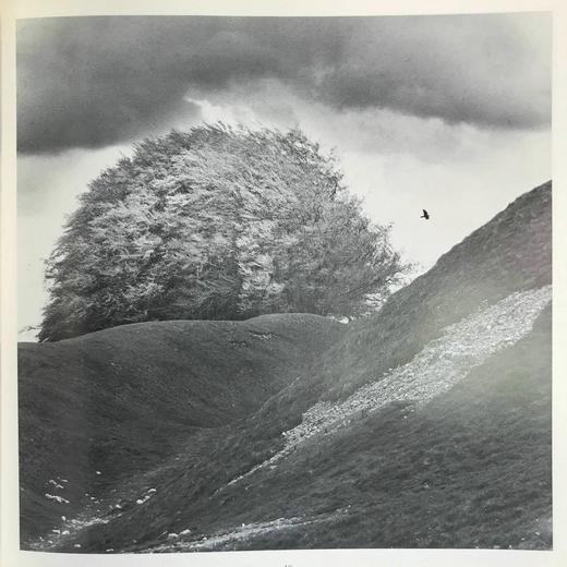 古代遗址：英国史前与凯尔特遗址（馆藏） 约百幅插图 精装16开 商品图13