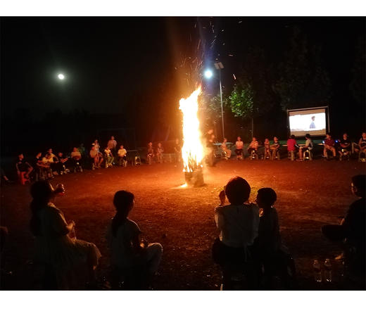 2天1夜独立营 | 营地专车接送，保定每日发车，外地可接站 专业老师带队 生活老师全程陪同 探野自然 生活体验营 商品图5