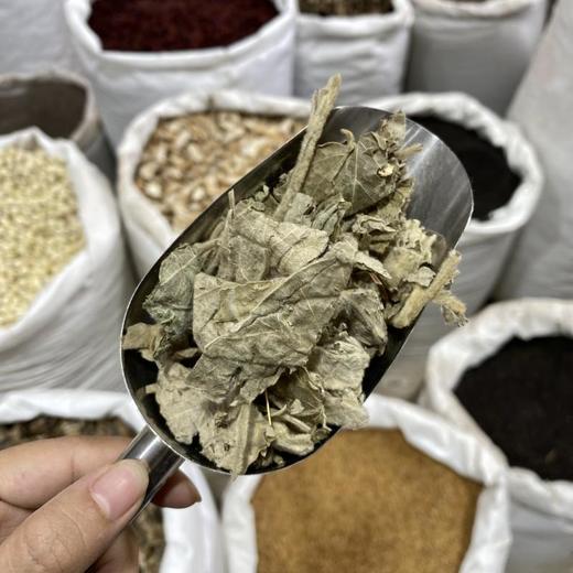 寻骨风 商品图1