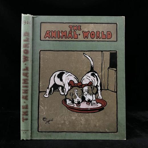 1906年 动物世界杂志 数百幅插图 漆布精装16开 商品图0