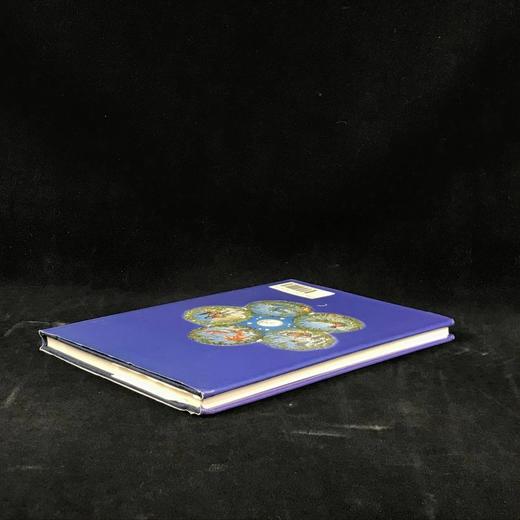 尤安·艾肯《最后一片彩虹与其他故事》 配大量精美插图（含多幅彩色） 精装16开 商品图2