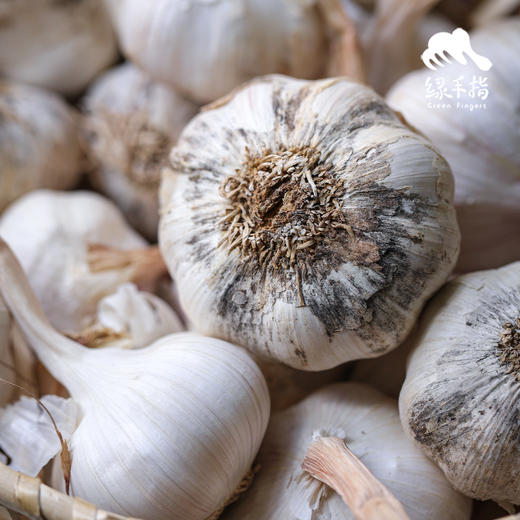 生态干大蒜 | 合作生产* Eco- onion | Coproduction 商品图2
