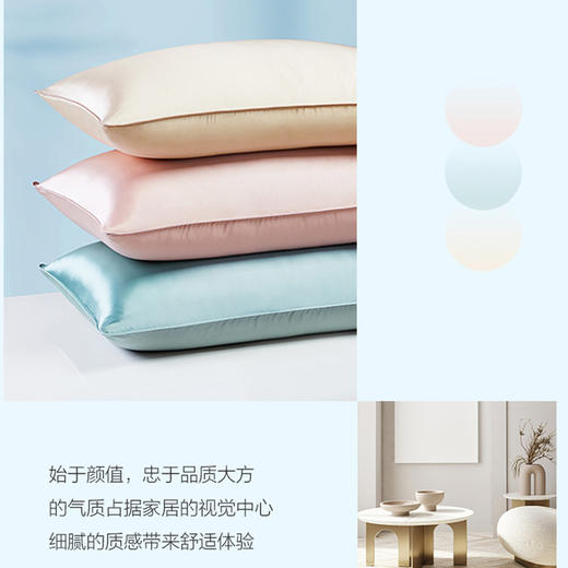 【品牌直发】加倍生活 真丝桑蚕丝枕套单只 夏季冰丝信封式真丝枕套 美容丝绸枕套 纯色 商品图3
