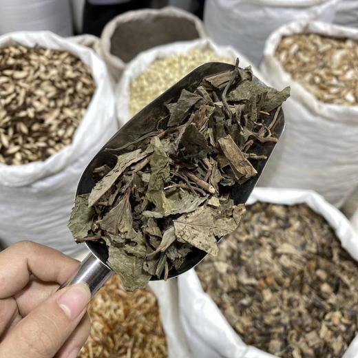 矮地茶  平地木  平地母 商品图3