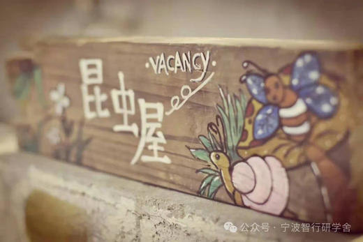 【智行研学】"昆虫夏令营"（7月20日） 商品图1