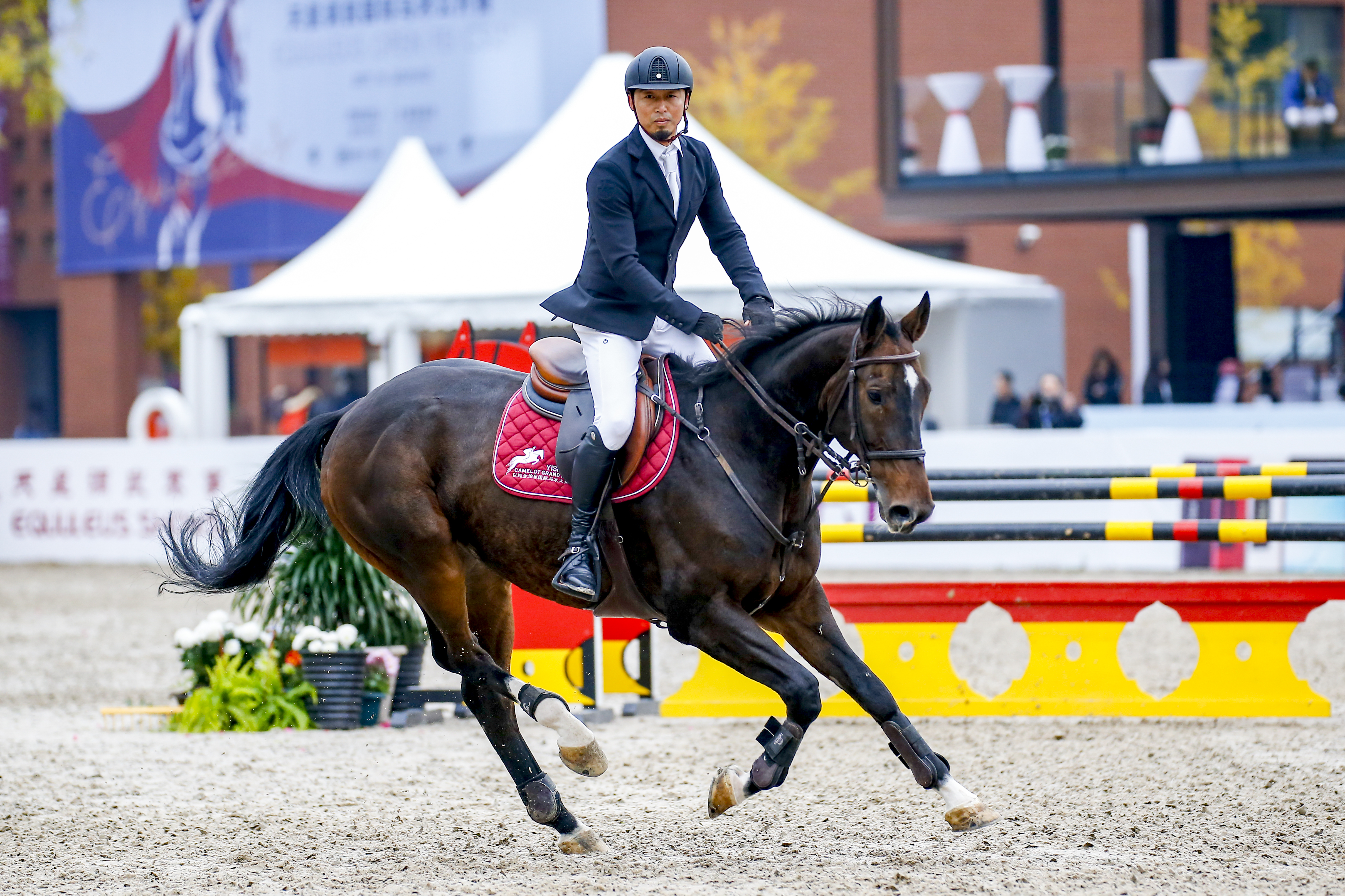 【联赛通用门票】单人一日票