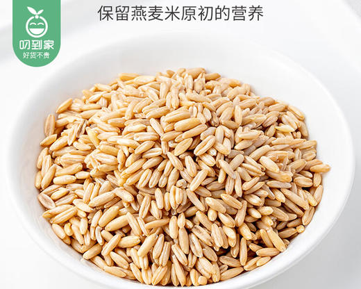 耕也河北燕麦米/1份（500g*2包）生产日期：26年2月 商品图1