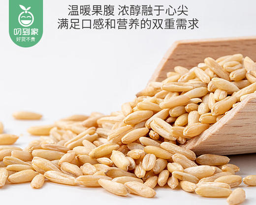 耕也河北燕麦米/1份（500g*2包）生产日期：26年2月 商品图2