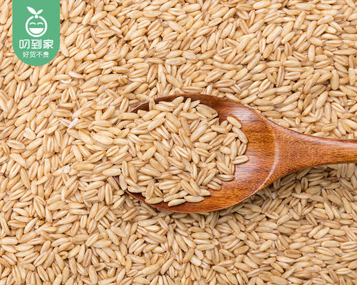 耕也河北燕麦米/1份（500g*2包）生产日期：26年2月 商品图5