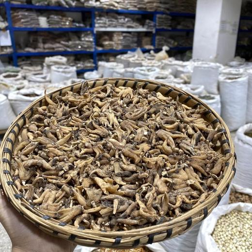 手掌参  佛手参 商品图4