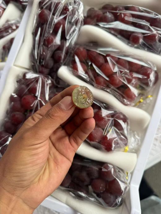 妮娜皇后葡萄 皮薄  甜甜的果粉浓郁葡萄 商品图4