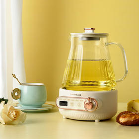 乐扣乐扣花茶养生壶