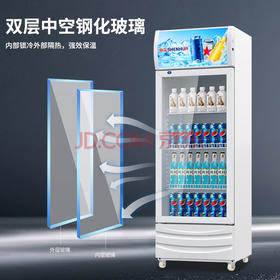 立式单门冷藏柜（玻璃门）