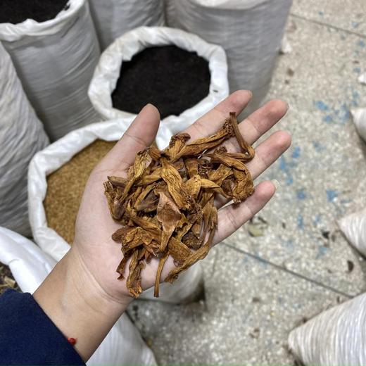 凌霄花 商品图4