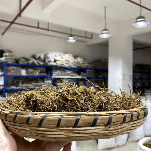 马尾连 商品图1