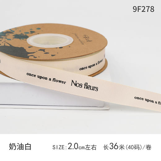 2.0罗纹英文字母素色丝带（A级） 商品图6