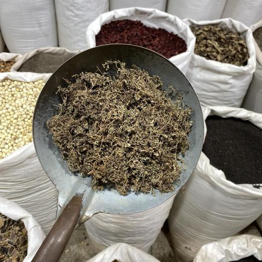 鹅不食草 商品图3