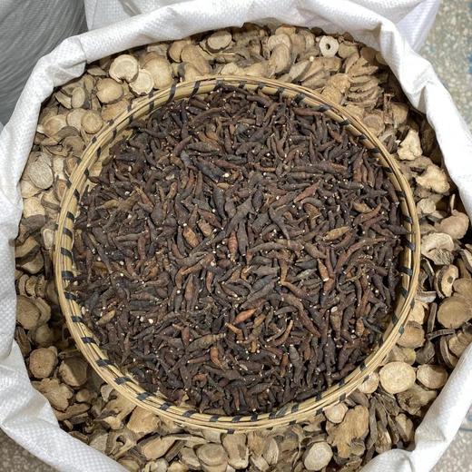 两头尖 商品图2